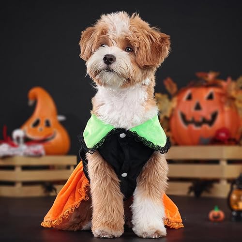 Miniatura 7 de ANIAC Vestido de Halloween para cachorro para perro pequeño, calabaza, fantasma, gato, corbatín naranja, ropa para mascotas para gatito, chihuahua,