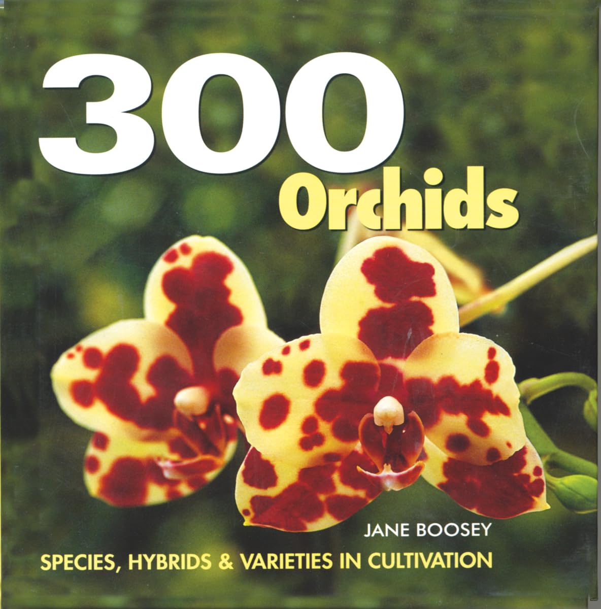 300 Orchids: Illustrated Guide to Orchid Species & Hybrids – Indoor Plant Care, Cultivation, Identification & Growing Techniques for Houseplant and ... Species, Hybrids and Varieties in Cultivation