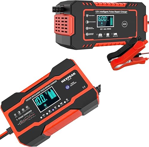 NEXPEAK Cargador de batería de 10 amperios y 6 amperios para baterías de plomo-ácido de 12 V24 V