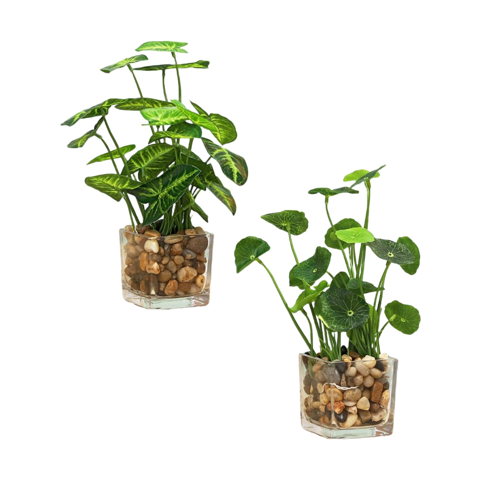 Plantes artificielles trèfle sans arrosage pot verre pour pièce sombre