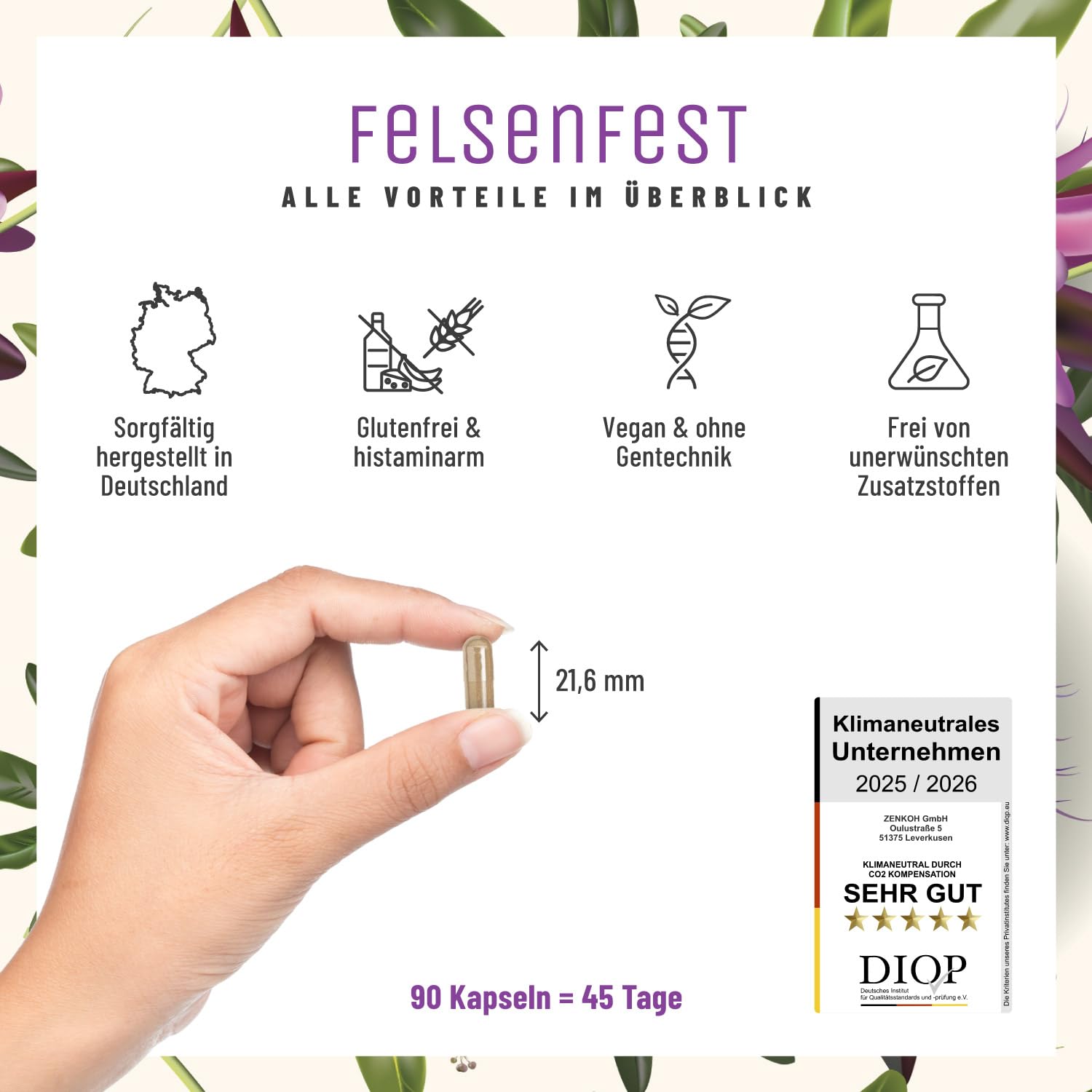 FELSENFEST - Johanniskraut Baldrian Passionsblume Kapseln hochdosiert - Vergleichssieger * - St Johns Wort mit Folsäure & B12 - Vegan - 90 Kapseln