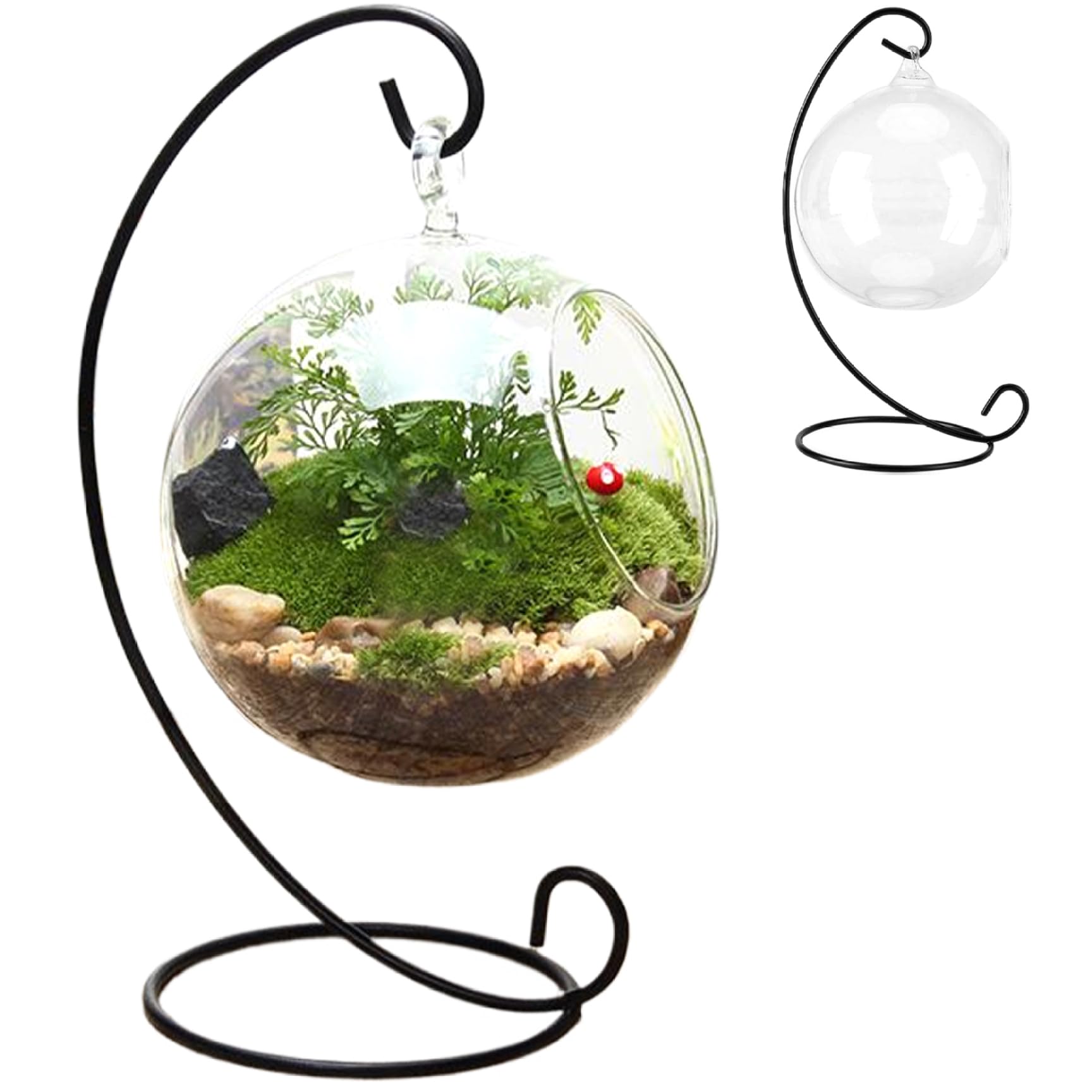 Wedhapy Air Plant Terrarium Kit Air Plant Terrarium, With Black Iron Stand Clear Glass Terrariums for Plants, Hanging Funny DIY Kit, For Plants Succulent Small