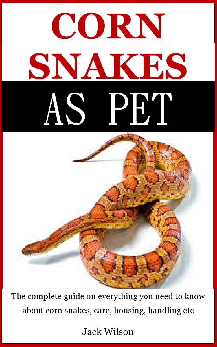 Buy Corn Snakes As Pet The Complete Guide On Everything You Need To