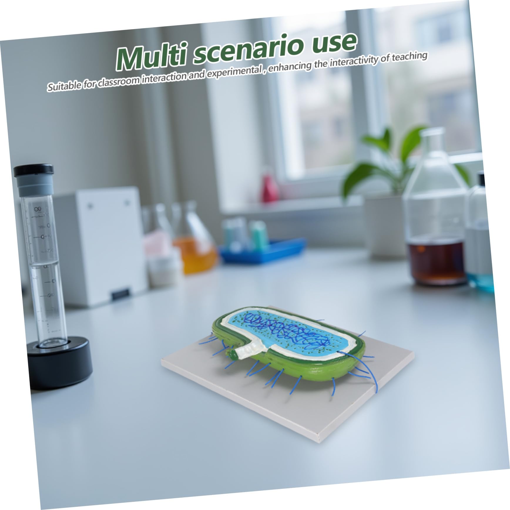 Cabilock Modello Interattivo per Lezioni Biologia Kit DIY per Costruire Struttura con Organelli Gioco Educativo per Studenti e Uso in Aula