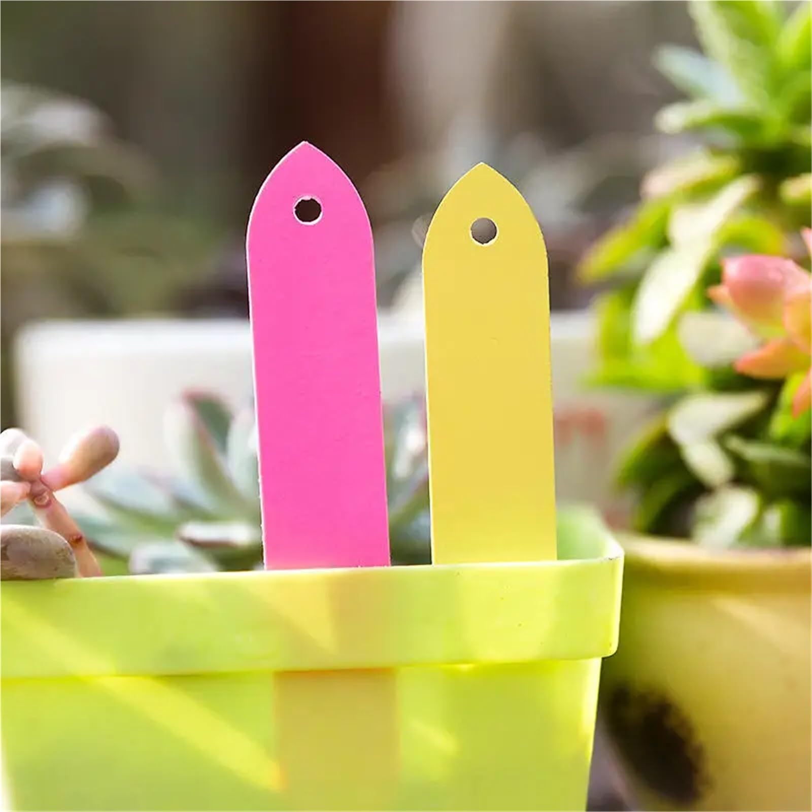 150er-Pack wiederverwendbare Pflanzenetiketten for Gartenpfähle