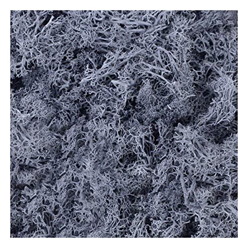 ECYC Ltd 1.4oz Fake Moss Artificial Moss Floral Decorative Preserved Reindeer Moss Craft Moss for Potted Plants, Terrariums Gardening, Wall Art, Floral Project, Wedding, Centerpieces Decor