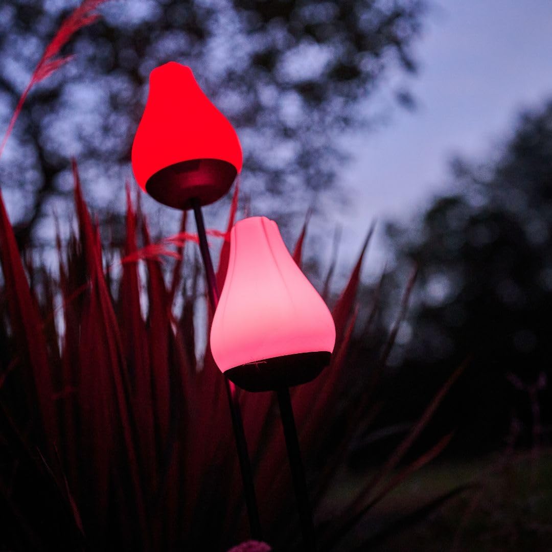 Lumix® Solar Flowers 1x Solarleuchte für Außen Garten von Krinner innenliegendes Solarpanel, IP44, Auto EIN/AUS mit RGB, Auto Change und neutralem LED Licht, Gartenleuchte Tulip 1 Stück