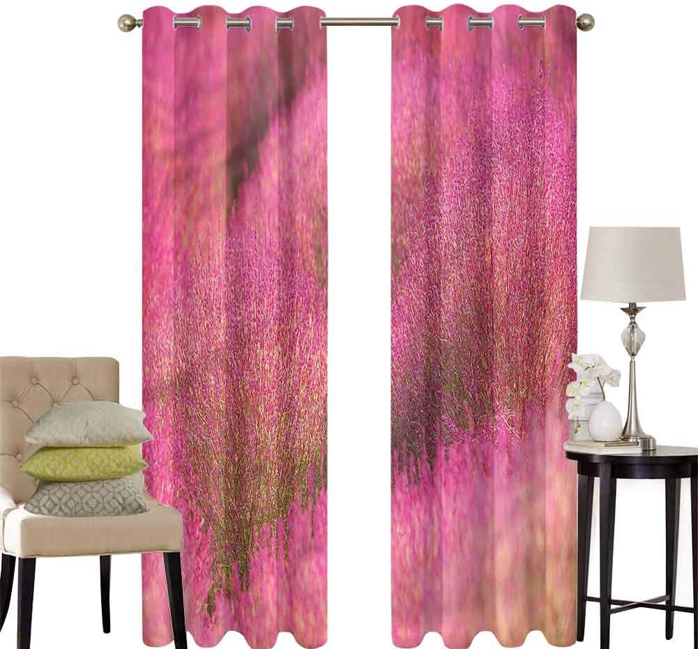 Aishare Store Dining Room Curtains, Japanese Kochias Hill Ibaraki Japan