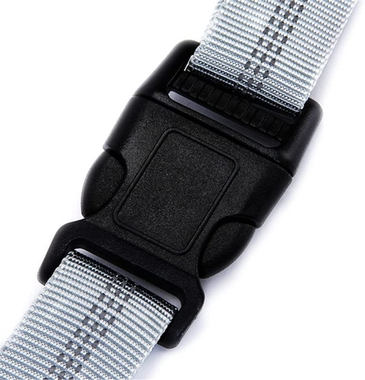 Guinzaglio per Cani Guinzaglio Per Cani Da Corsa Nylon Mano Liberamente Prodotti Per Animali Domestici Collare Per Imbracatura Per Cani Guinzagli Per Guinzaglio Da Jogging Guinzaglio Addestramento (C