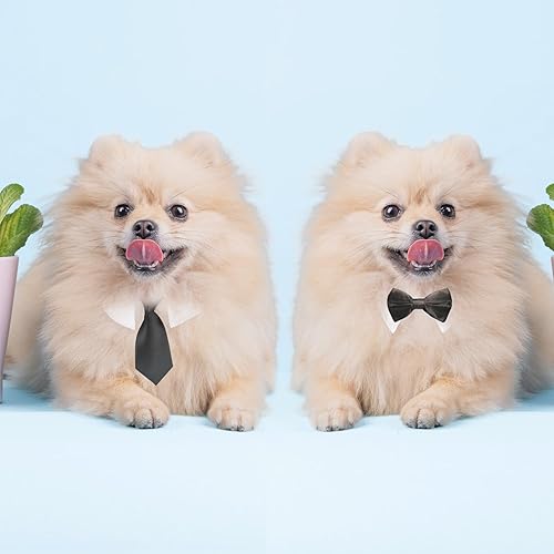 Miniatura 7 de Koolmox Corbata y corbata para mascotas, corbata negra para perro y pajarita con collar blanco para perros medianos y grandes, gatos, trajes de