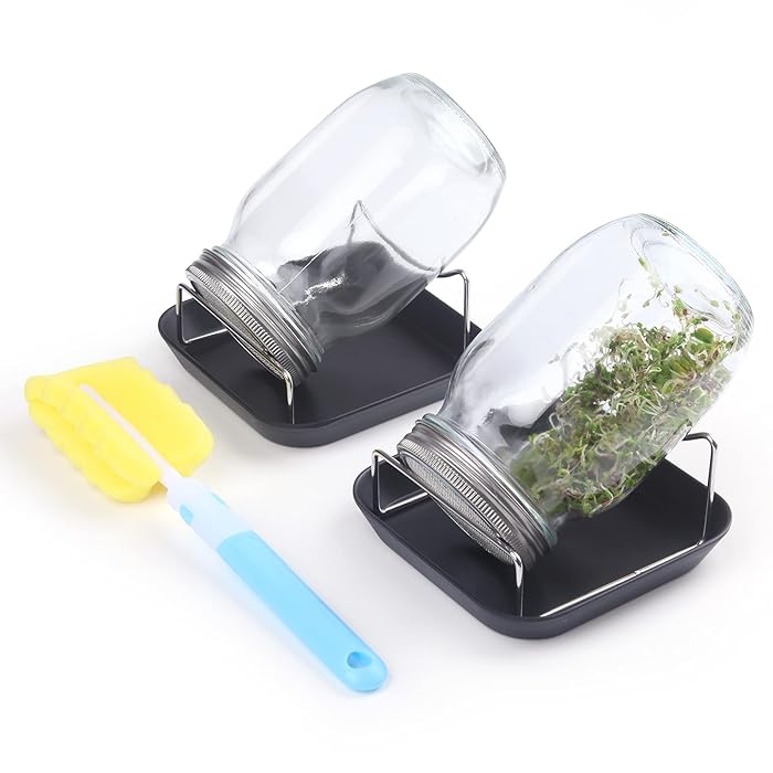Buy Sprouting Jar Kit 2 Wide Mouth Mason Jars with 316 Stainless