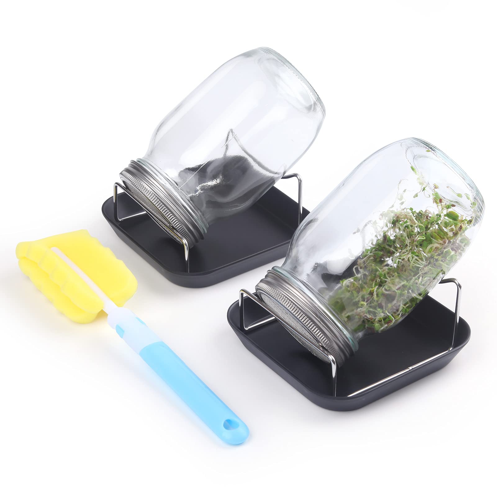 Buy Sprouting Jar Kit 2 Wide Mouth Mason Jars with 316 Stainless