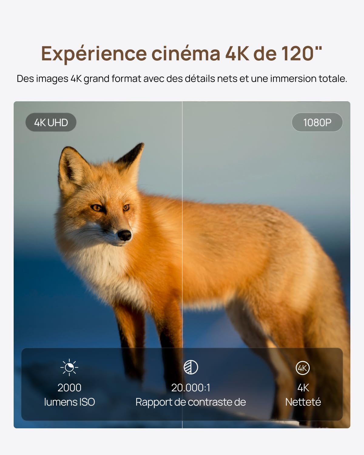 XGIMI Mira Videoprojecteur 4K Triple Laser Ultra Courte Focale