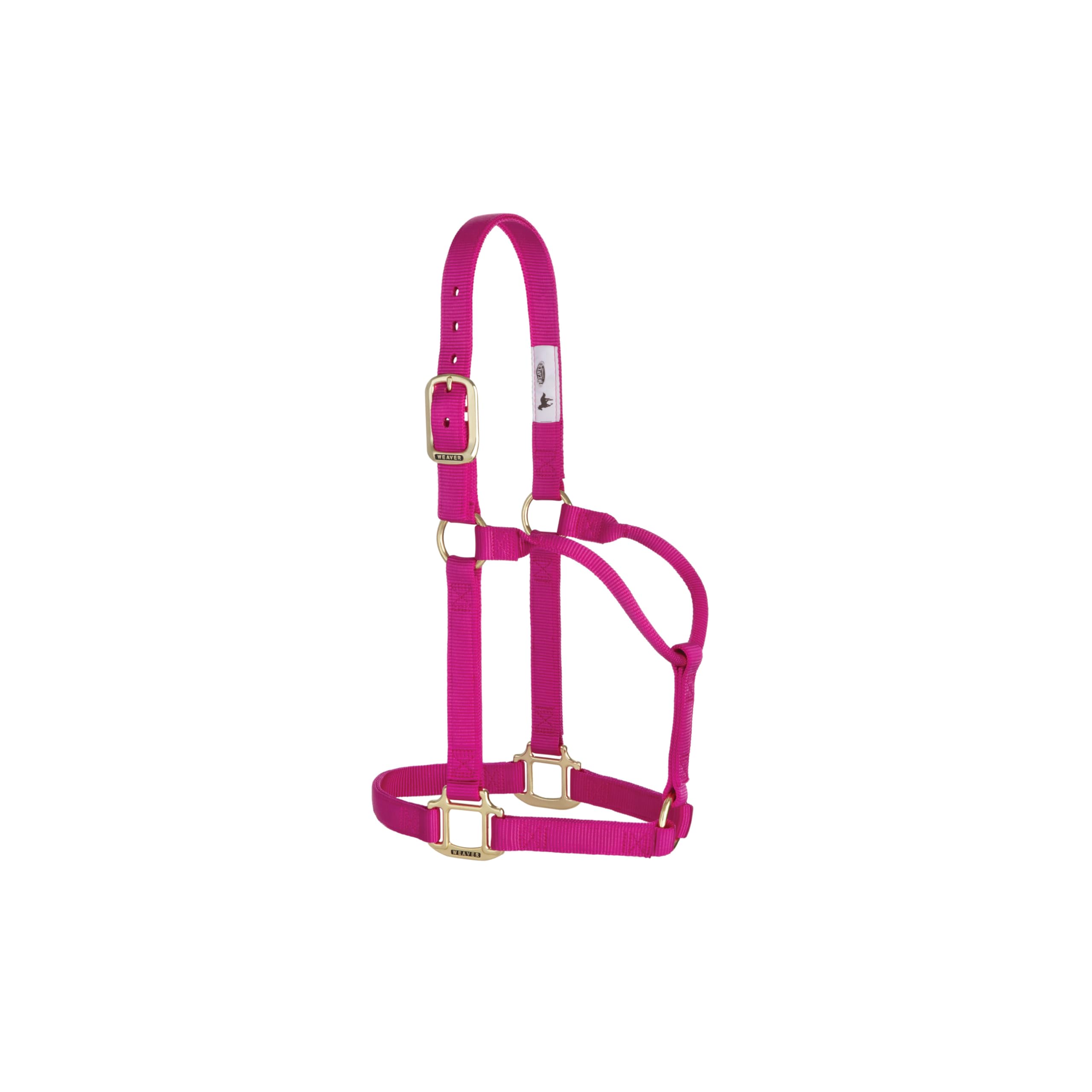 Weaver Leather Original - Cavezza Non Regolabile, per Cavallo tra 1 e 2 Anni, M, Lampone