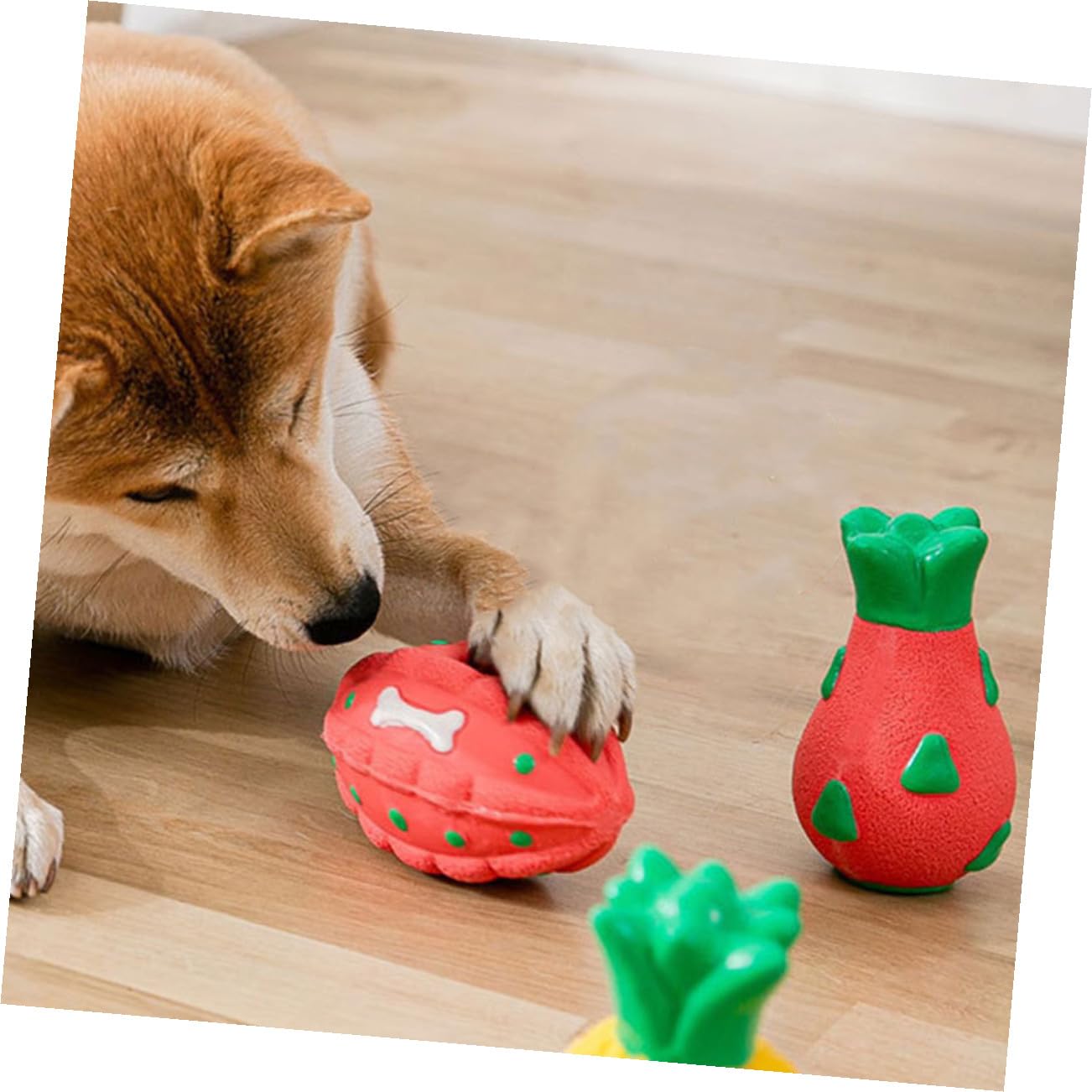 PRETYZOOM 5 Stücke Hund Spielzeug Interessant Kauen Spielzeug Tragen-beständig Für Aktive Hund