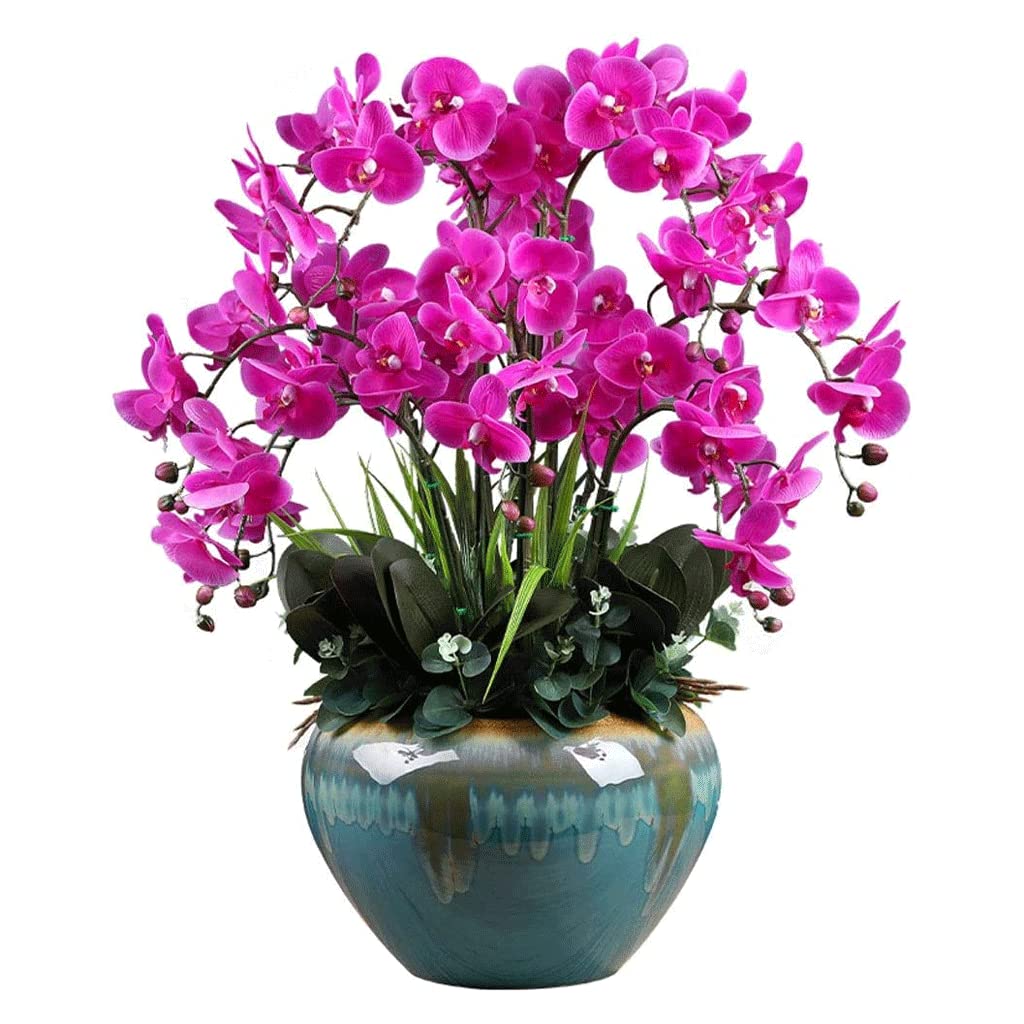 XDLEDMKIZ Orchid Artificial Flowers Artificial Flowers Potted Artificial Phalaenopsis Flowers Porcelain Vase Orchids Artificial for Home Living Room Office Decor natural