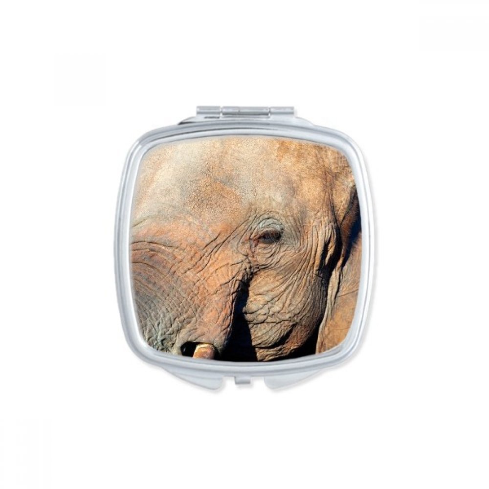 Miroir de poche motif léopard mignon petit format pour retouches maquillage au quotidien