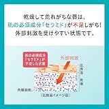 花王 キュレル リップケアバームの商品画像