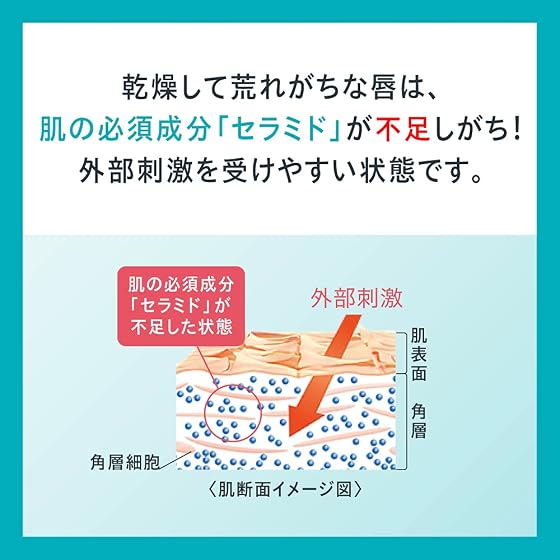 花王 キュレル リップケアバームの商品画像