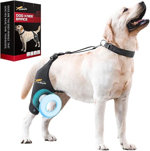 Rodillera para perro para pierna trasera desgarrada del ligamento cruzado anterior, soporte para luxación de rótula u osteoartritis, lesiones de