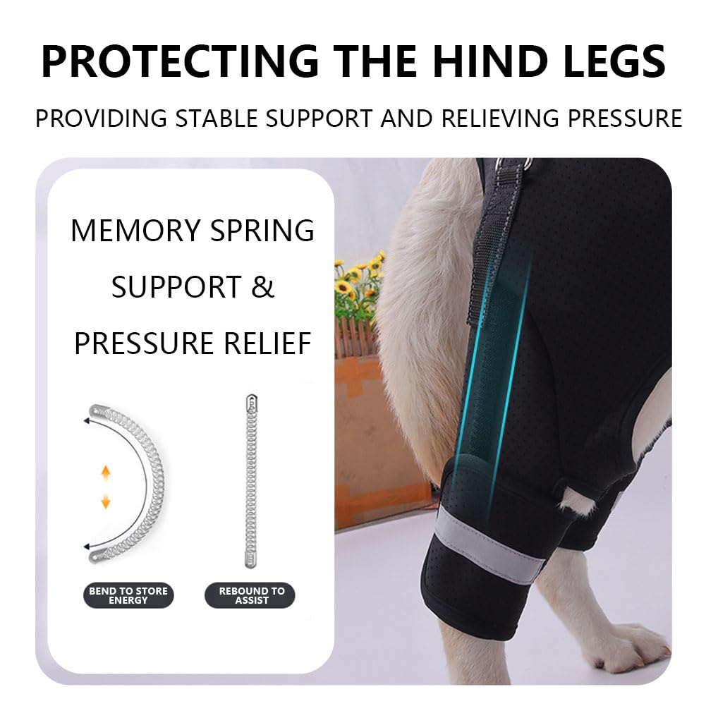 Silla De Ruedas para Perros con Arnés De Soporte Trasero, Resorte con Memoria, Ayuda para La Movilidad, Ajustable Y Reflectante, para Perros Mayores con Displasia De Cadera, Colour L