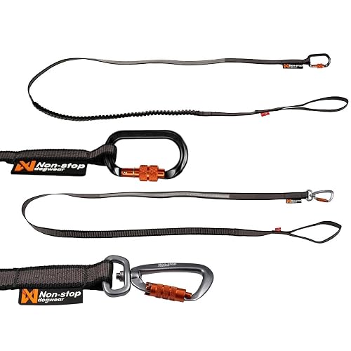 NON-stop dogwear Correa elástica de 3,8 m / 23 mm - 1540 extra larga, Correa para Perro