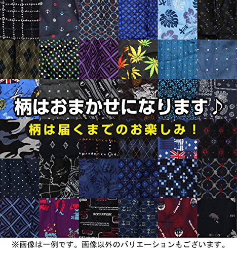 ステイランド『トランクス』