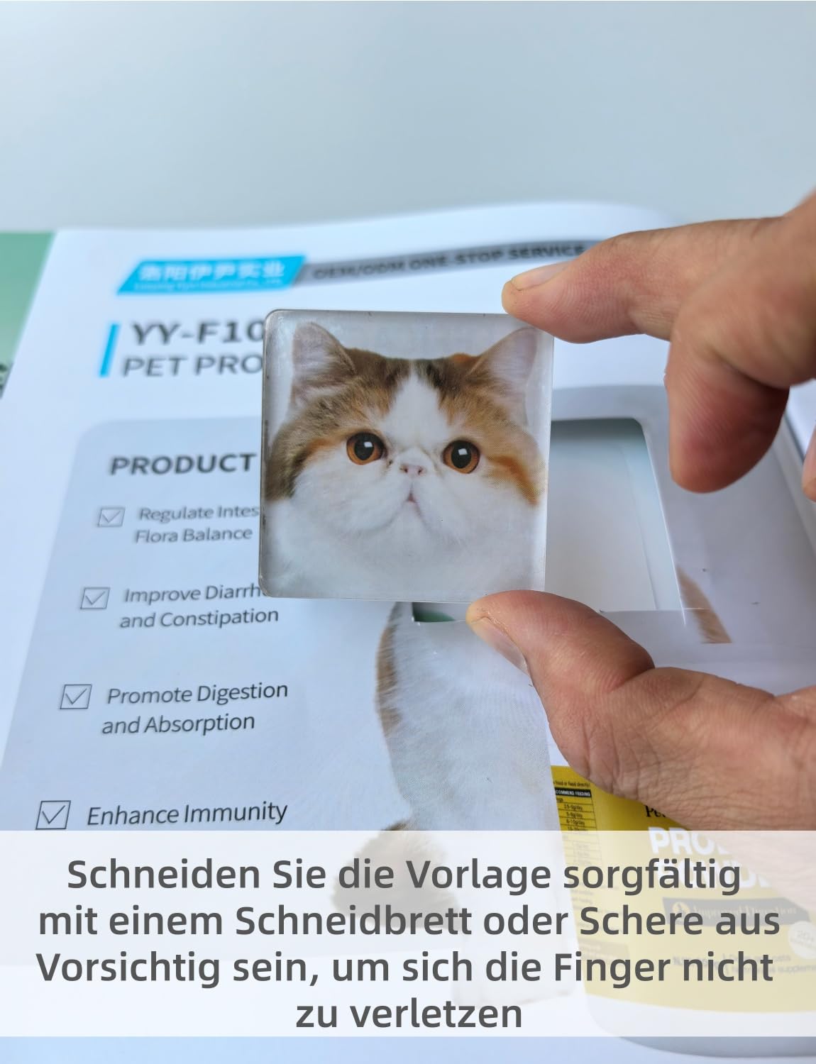 18 Stück Set zum Magnete Basteln & Selbst Gestalten – Klare 5x5 cm Fotomagnete Kühlschrankmagnete aus Acryl mit Kleberücken & Ferrit-Magneten für DIY-Deko (Küche, Büro, Schule)