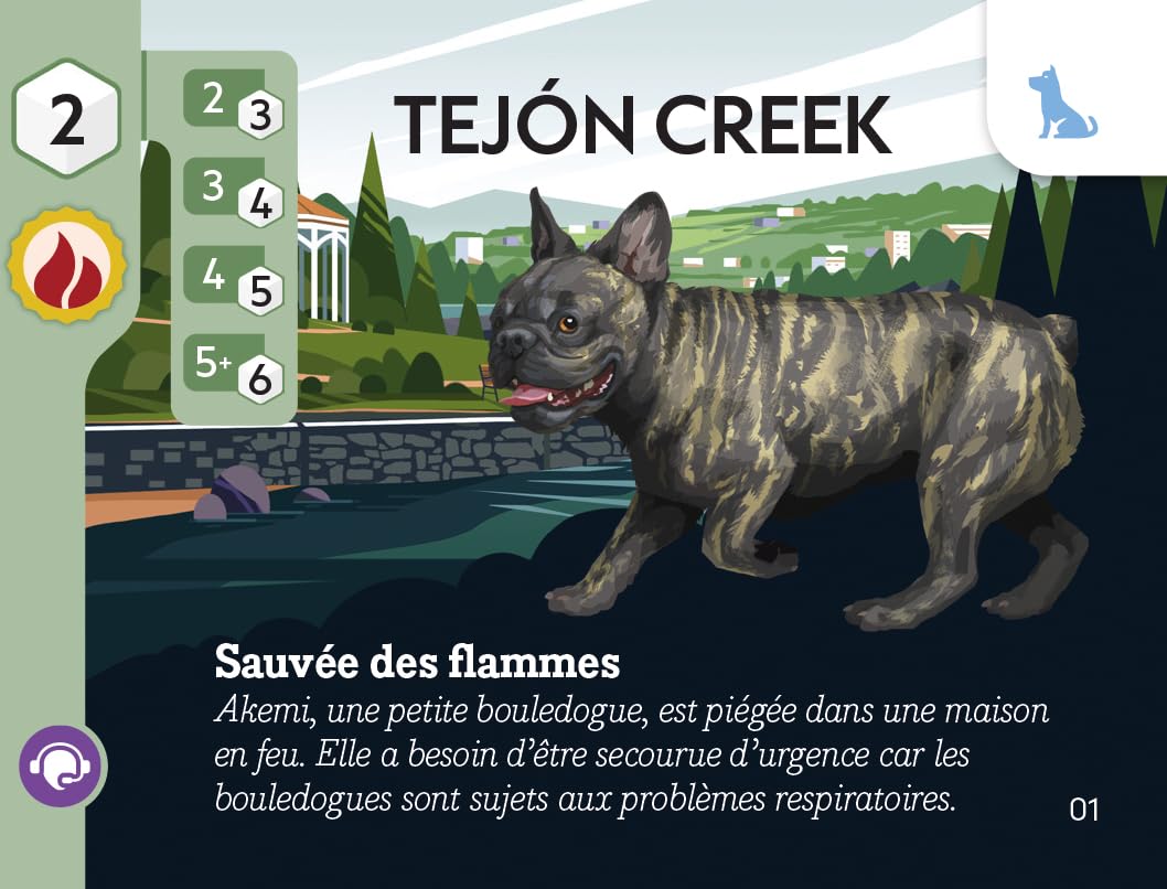 Asmodee - Animal Rescue Team - Fentasy Games - Jeu coopératif Animaux - stratégie Sauvetage - dès 14 Ans - 1 à 4 Joueurs - 45 Minutes - en français Version Française