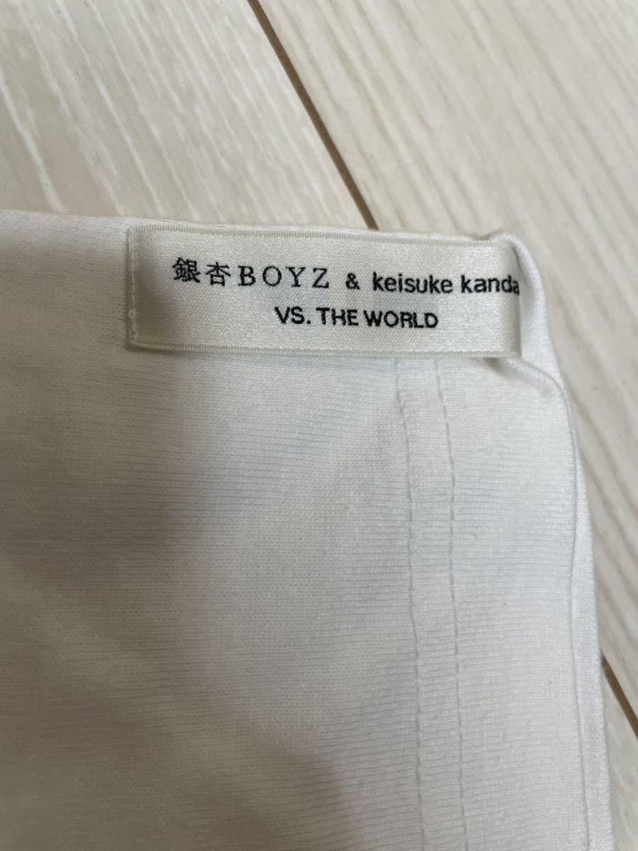 Amazon.co.jp: 銀杏BOYZ×keisuke kanda VS. THE WORLD 君と僕のTシャツ
