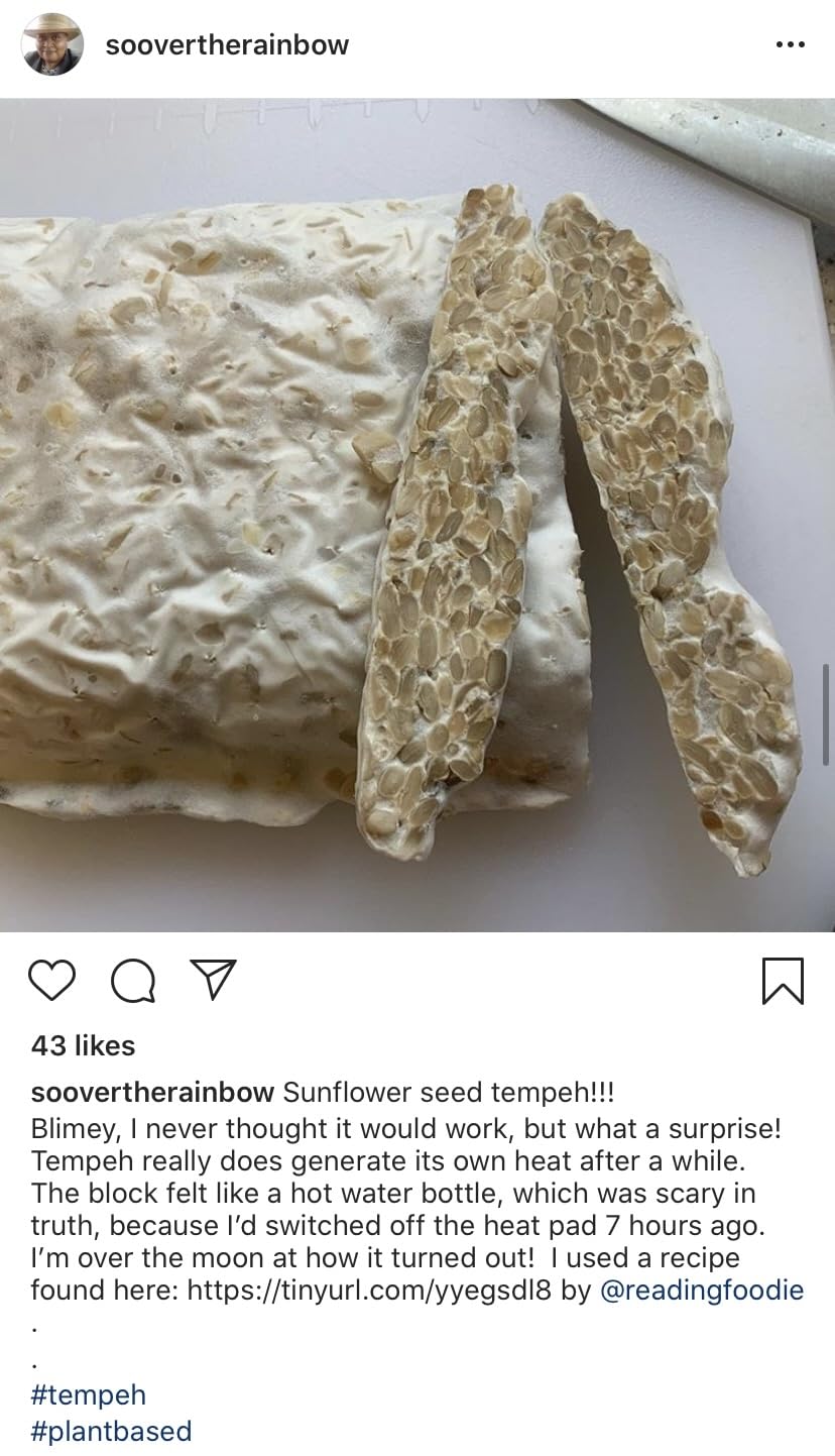 Tempehtation Cultivo Iniciador de Tempeh Orgánico, Sin Gluten Probado en Laboratorio, Hecho en Escocia, 70 Gramos
