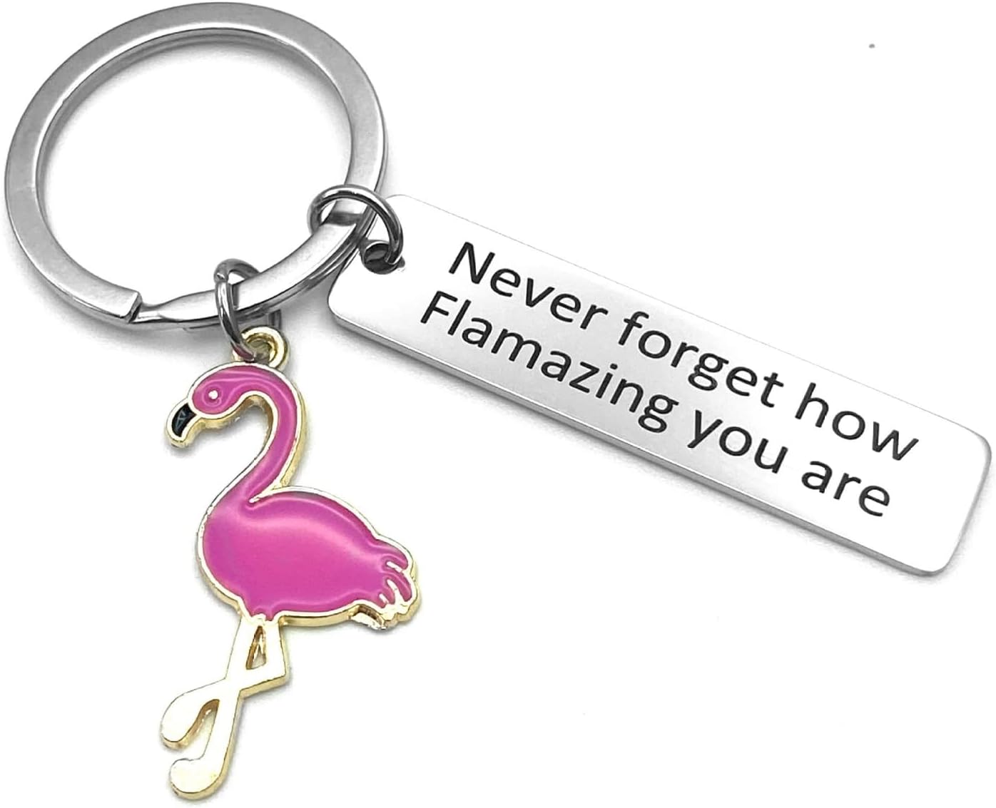 Flamingo Keychain Never Forget How Flamazing You are Keychain Flamingo Gift (A)
