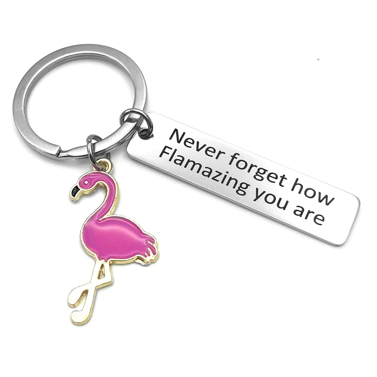 Guagua Flamingo Keychain Never Forget How Flamazing You are Keychain Flamingo Gift (A)