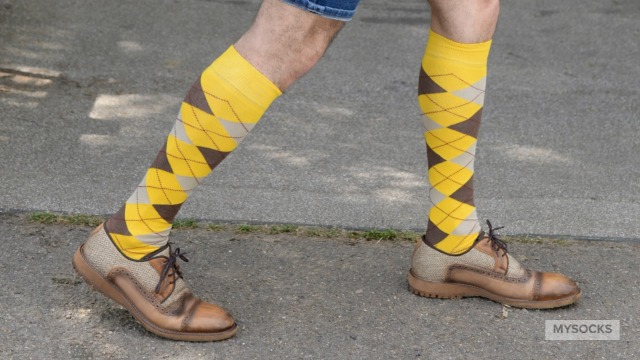 Amazon.com: Mysocks Argyle Knee High Socks for Men and Women