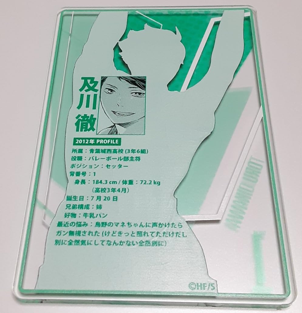 ジャンプショップ ハイキュー ステータスカード ジャンプショップ ハイキュー ステータスカード ジャンプ