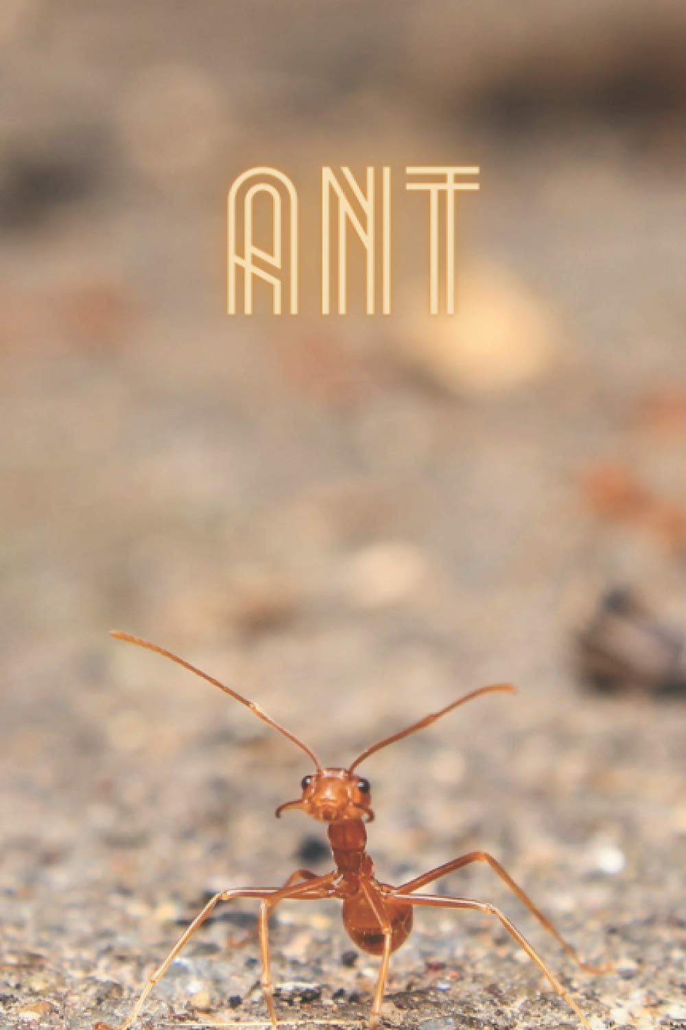 Ant: Notebook for Drawing and Painting: Journal, Diary, Composition Book