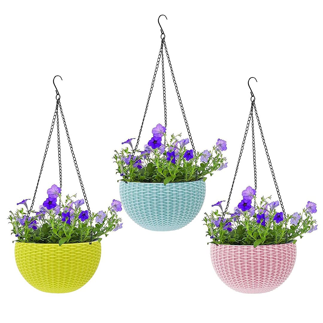 Prakriti Plastic Hanging Flower Pot , Multicolor, 3 Pieces (Size 6inc Each )(Hangingbasket6in) (B09D9PRJD4) Amazon Price History, Amazon Price Tracker