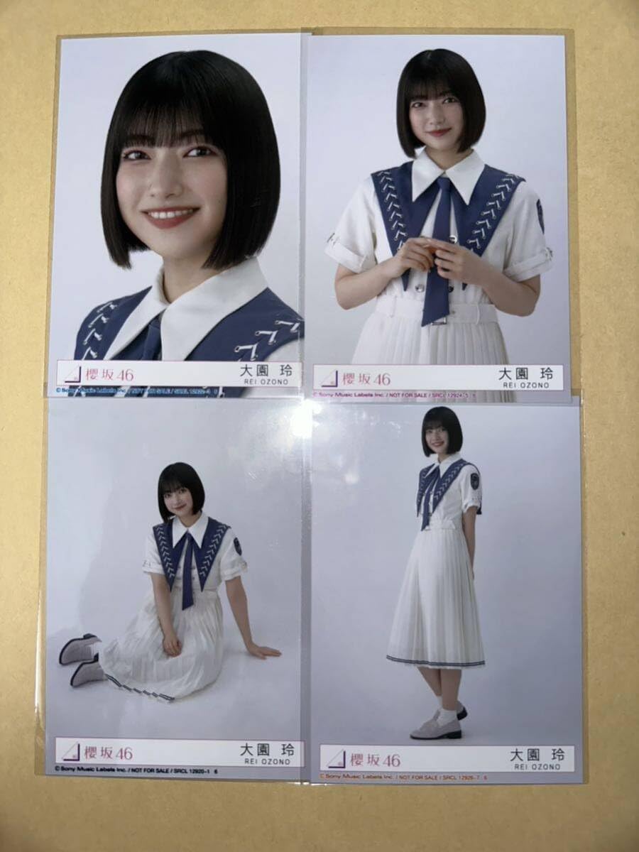 Amazon.co.jp: 大園玲 自業自得 櫻坂46 4種コンプ 封入生写真(検