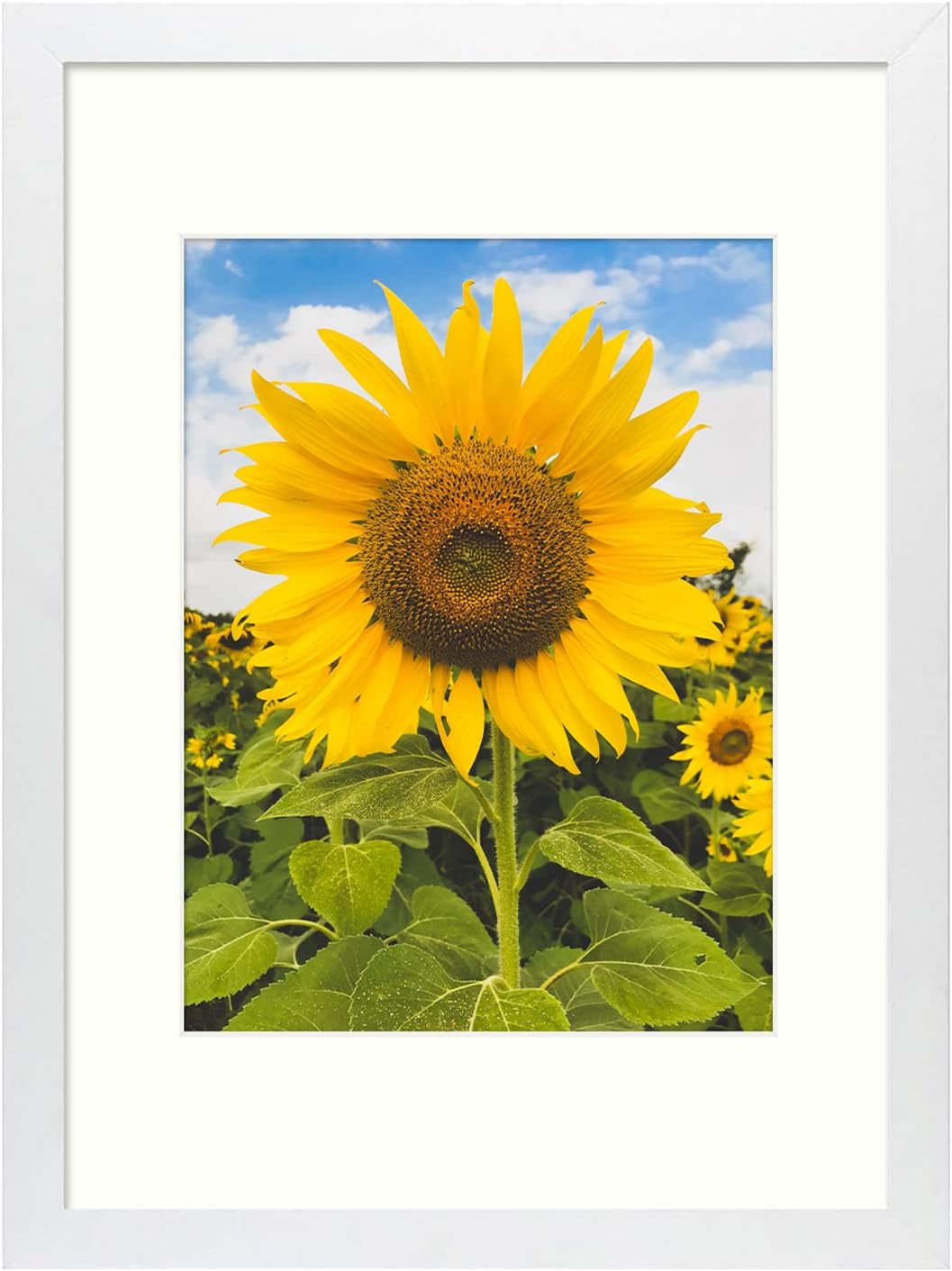 Mat Board Center, 12x16 Picture Frame Matted for 8.5x11