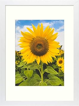 Mat Board Center, 12x16 Picture Frame Matted for 8.5x11, Composite Wood Wall Photo Frame, Plexiglass White, 1 Pack