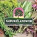 Nature's Answer Juniper Berry with Organic Alcohol, 2-Fluid Ounces