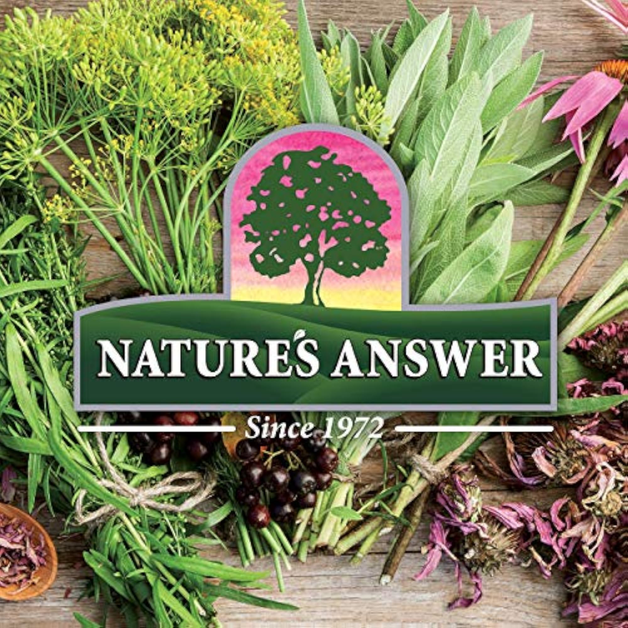 Nature's Answer St. John's Wort, 1-Ounce, Natural Mood Enhancer