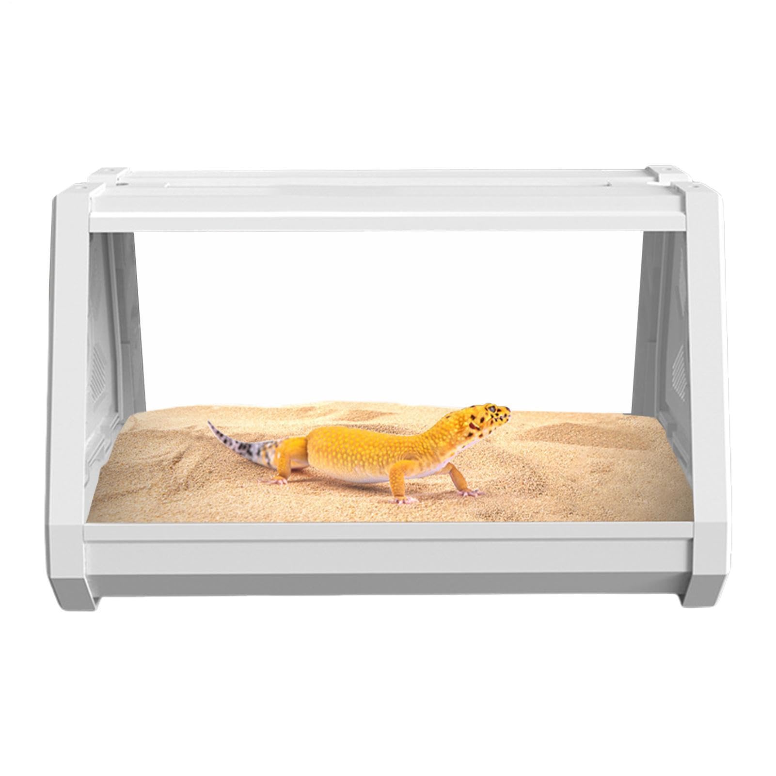 Terrario per rettili - Contenitore di visualizzazione espanso per Habitat G | Recinzione sicura ventilata con pannelli di visualizzazione trasparenti per gechi, lucertole, anfibi, alimentazione e cura qu