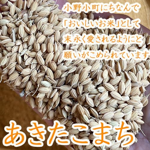 Amazon.co.jp: 【 籾米 もみ米 5㎏ 】長野県産 2025年産(令和7年産