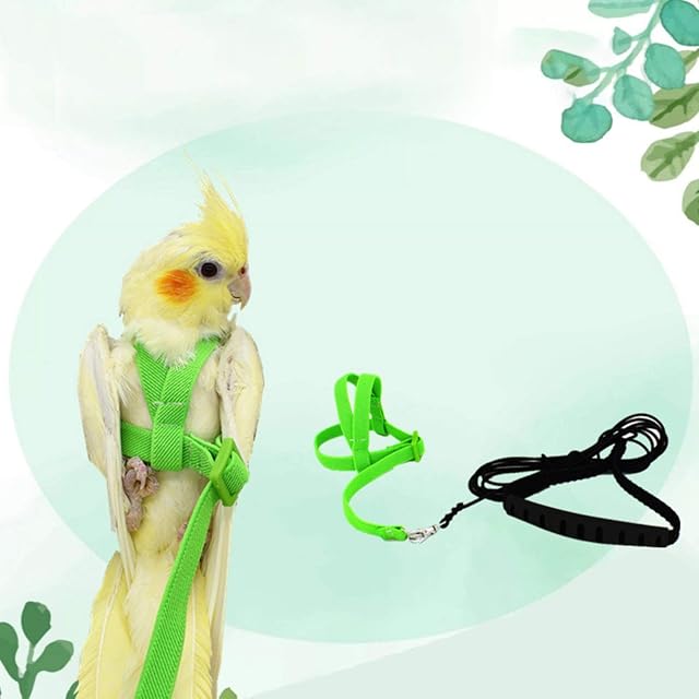 Foto 6 de 7 de Arnés de loro, arnés de pájaro, calopsitte, arnés y correa para pájaros pequeños y loros de tamaño mediano