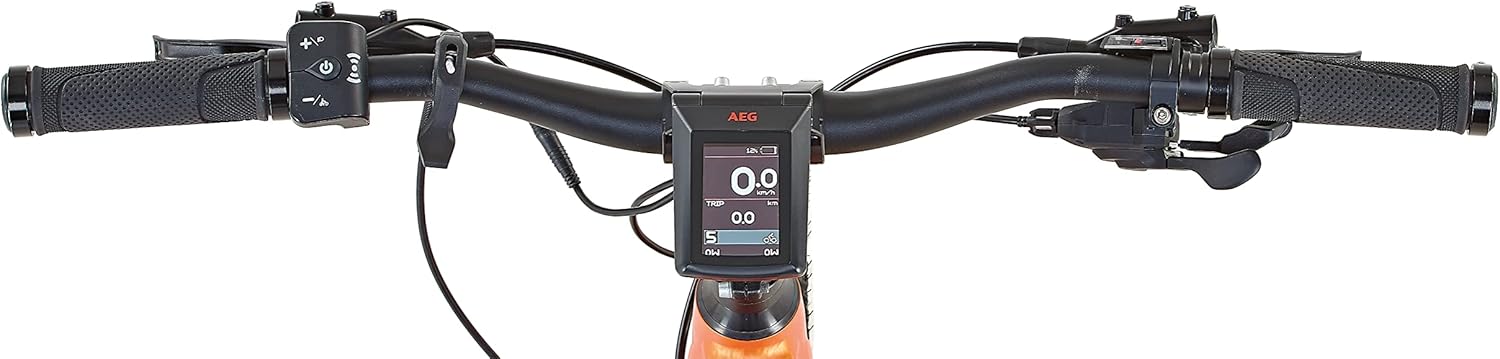 AEG TFT Display and Handlebars on Prophete Graveler E-MTB