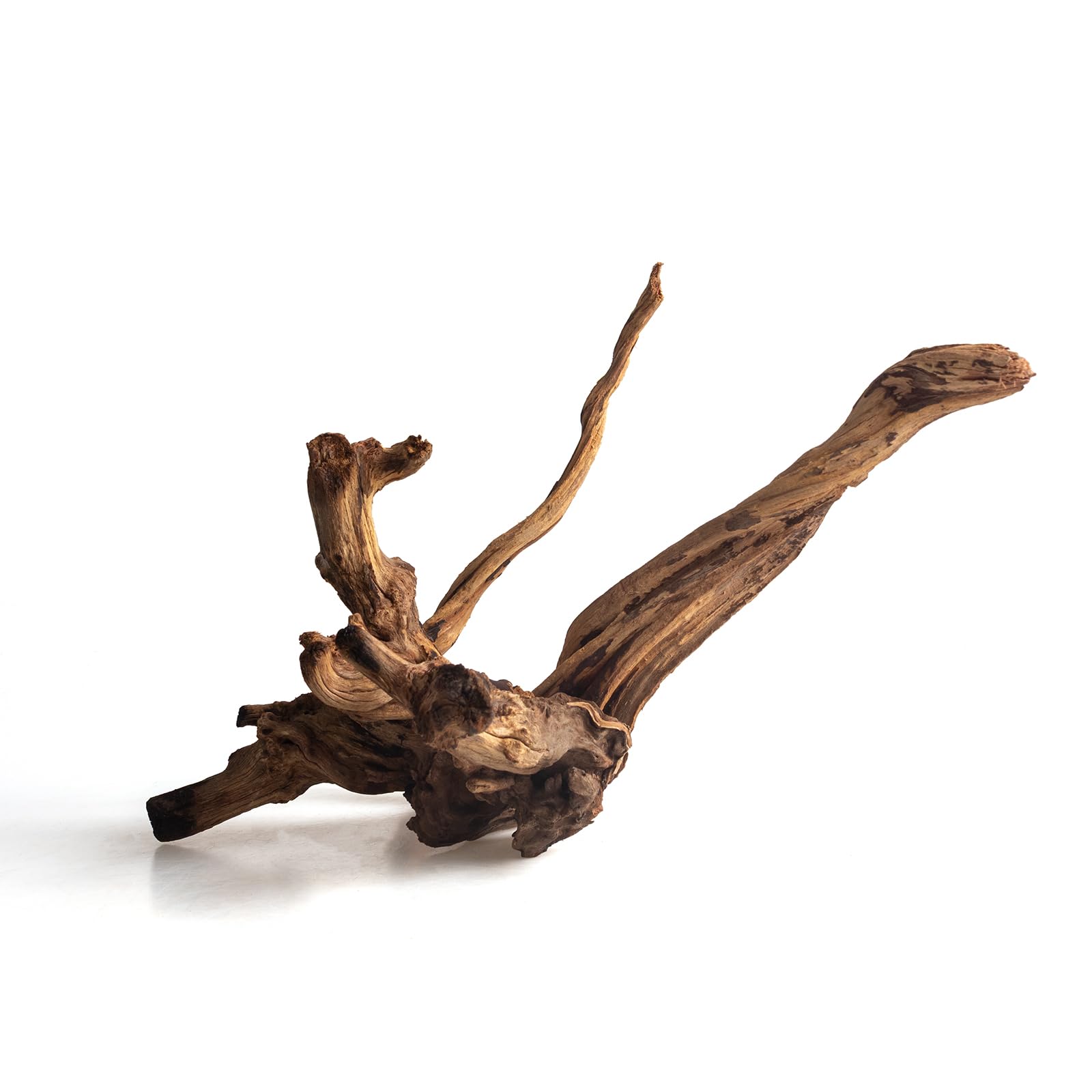 emours Bois flotté naturel pour aquarium, bois flotté unique pour décoration d'aquarium, terrarium et reptile, 1 pièce (20-30 cm)