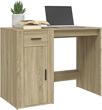Computer Desk, Modern Writing Desk with Drawer & Door Cabinet, 100 cm Small Home Office Desk, for Study, Easy Assembly - Brown