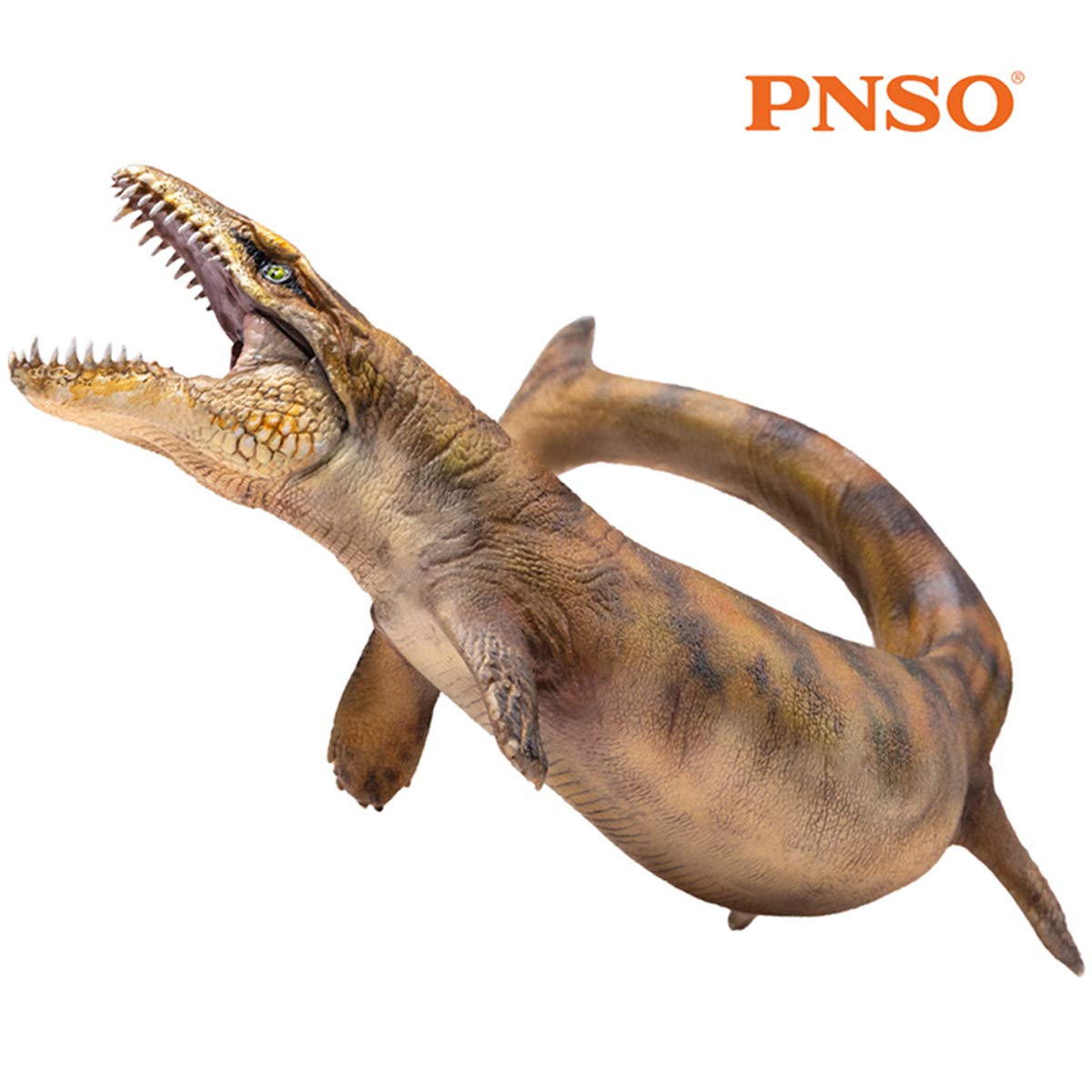 Amazon | PNSO ダコサウルス Dakosaurus 爬虫類 海生ワニ 恐竜 生物