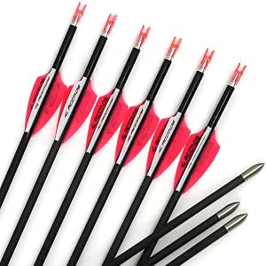 Flèches Carbone Pour Arc - Diamètre Intérieur 4.2mm (.165") - Spine 600 - 12 Pièces - Pour Entraînement Et Chasse - 13
